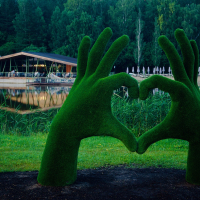 Программа «Оздоровительная путевка» в санатории «Сибирь» - Санаторий и курорт "СИБИРЬ", Тюмень